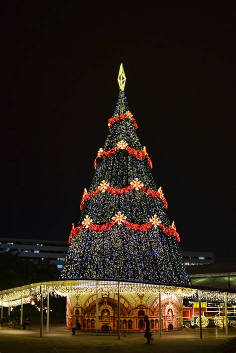 Christmas Tree of the Day #2 (2012 Edition) - The Christmas Express at 