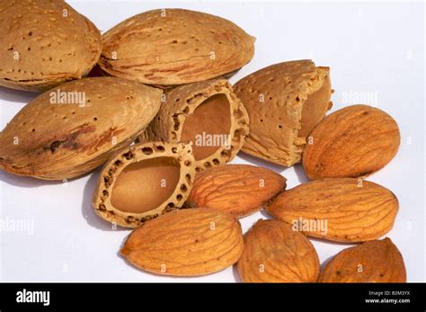 A Closeup Of Almonds In Their Shells Cracked Almond Shells And Almonds