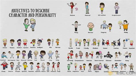 Personality Adjectives 300 Great Words To Describe Someone In English • 7esl