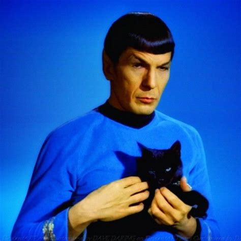 Long Live And Prosper Spock Crazy Cat Lady Crazy Cats Kittens Cutest