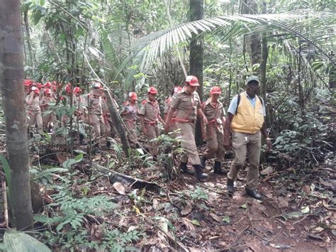 Crianças Aprendem Técnicas De Sobrevivência Na Selva Durante Treinamento Em Jaru Ro Ariquemes