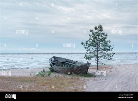 Karbas Old Wooden Boat Of Pomor Fishermen On The Coast Of The Northern