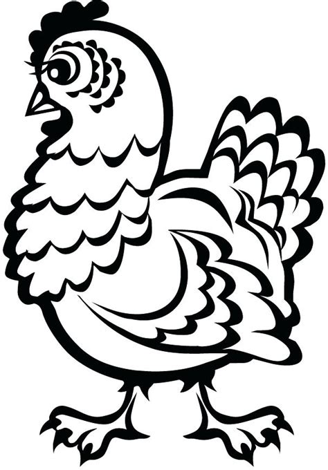 Cara menggambar seekor anak ayam dan seekor ayam jantan. Kumpulan Berbagai Gambar Sketsa Ayam