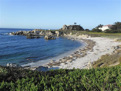 Monterey - California | Monterey bay california, Monterey california, California coast