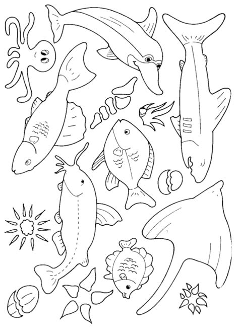 fish coloring pages coloringpagescom