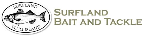 Surfland Bait And Tackle Plum Island Fishing Surfland Bait And