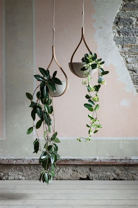 Inspired By Nature The Morvah Ceiling Planter Welcomes The Outdoors