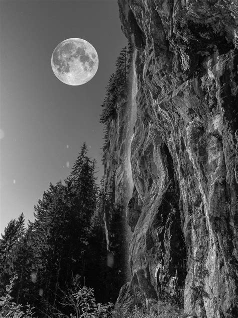Star and crescent moon drawing, moon, angle, white png. Free Images : tree, nature, forest, rock, black and white ...