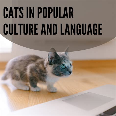 Cat Got Your Tongue Cats In Our Language And Culture Pethelpful