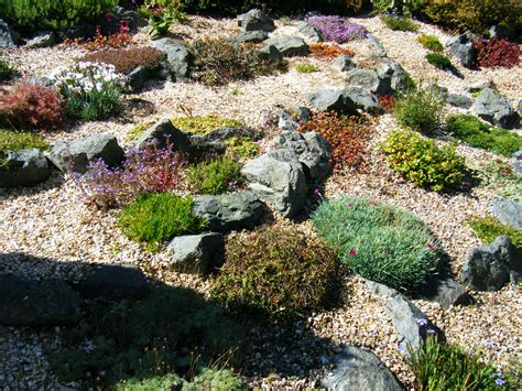 Transforming A Bluebell Zone Into A Rock Garden The Bonnie Gardener