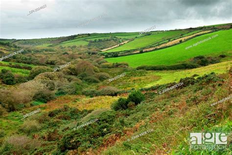 Lush Green Fields On A Landscape Of Rolling Hills Ireland Stock Photo