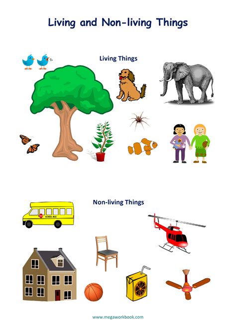 living and non living things worksheets characteristics of living things megaworkbook