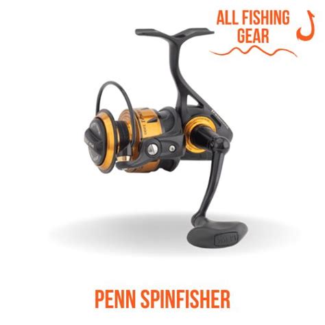 Penn Spinfisher Vi Vs Daiwa Bg Reel Comparison All Fishing Gear
