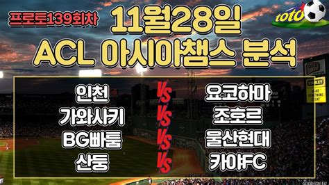 토토분석 스포츠분석 프로토분석 11월28일 프로토승부식139회차 아시아챔스경기분석 야구승무패 축구승무패 스포츠토토