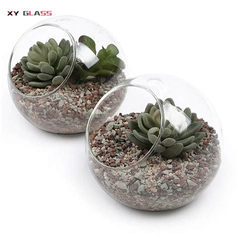 Decorative Clear Glass Globe Hanging Terrarium Planter Terrarium Contain Vase Buy Flared