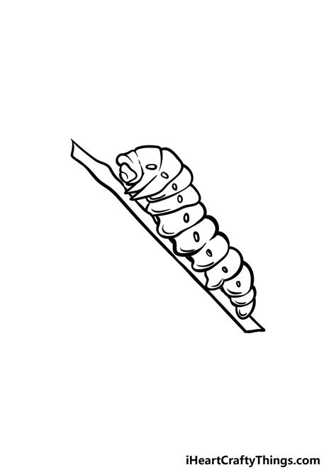 How To Draw A Caterpillar Vallo Thoures