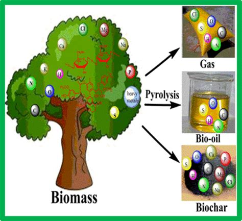 Fates Of Chemical Elements In Biomass During Its Pyrolysis Chemical