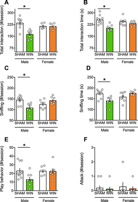 Figures And Data In Sex Dependent Effects Of In Utero Cannabinoid Exposure On Cortical Function