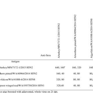 Human infection with the a(h5n8) virus cannot be excluded, although the likelihood is low, based on the limited information obtained to date. Results of genomic array detection of influenza A viruses ...