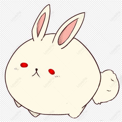 Bunny Bunny Cartoon Bunny White Bunny Rabbit Png White Transparent