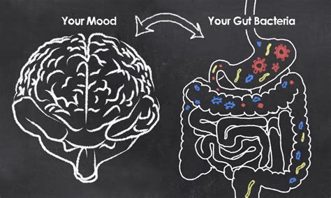 What Is The Gut Microbiome And How Does It Affect Your Health Sleep