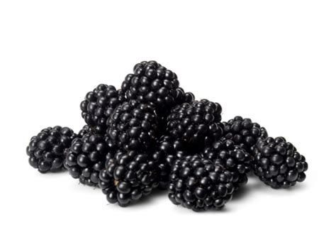 View the latest blackberry ltd. Blackberry Stock Photo - Download Image Now - iStock