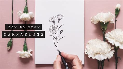 Carnation outline drawing complete, let's put some life into it. How To Draw Carnations | Floral Illustration - YouTube