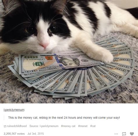 Cat With Money Funny Animals With Captions Funny Pictures With