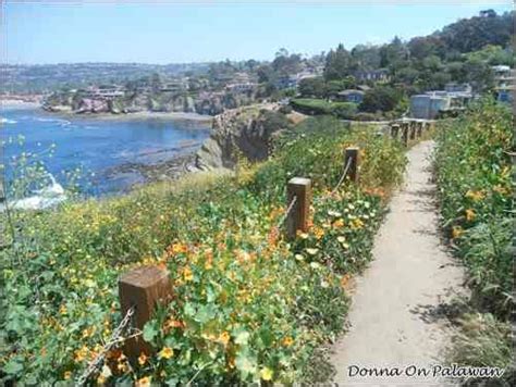 La Jolla Coast Walk Could Anything Be Prettier Visit San Diego La