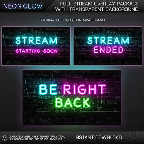 Neon Twitch Overlay Package High Quality Animated Overlay Etsy