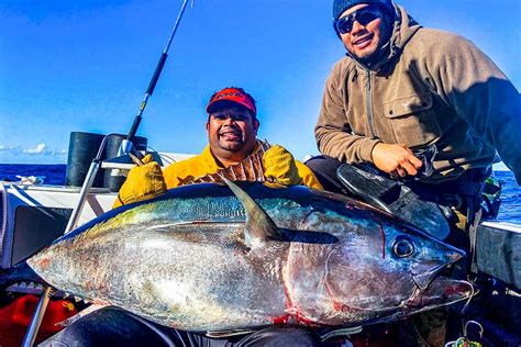 Preparing To Catch Southern Bluefin Tuna The Fishing Website