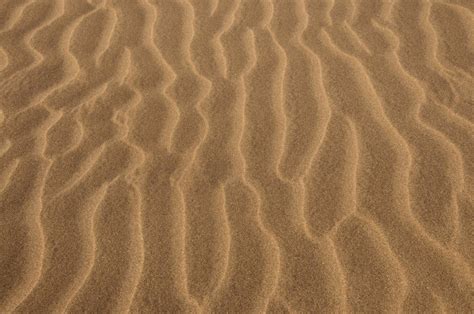 22 Sand Textures Free Psd Png Vector Eps Format Download Design