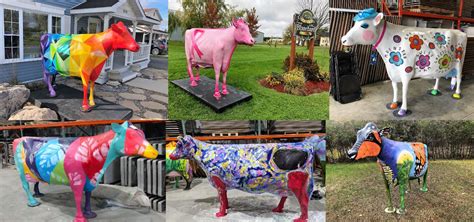 St Albert Curd Festival Launches Painted Cow Statues Project In Wake Of