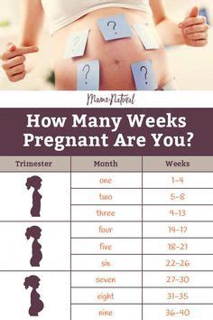 Check back every week of your pregnancy to see how your baby is developing and to find out what. Diagram showing the finger method for measuring fundal ...