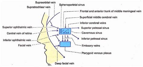 Cavernous Sinus Simplified Epomedicine