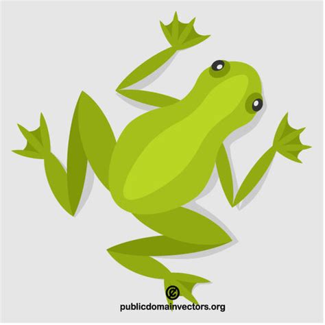 Green Frog Public Domain Vectors