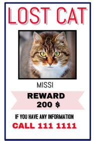 Brown cat missing pet poster templates by canva. 1,180+ Customizable Design Templates for Lost Animal ...