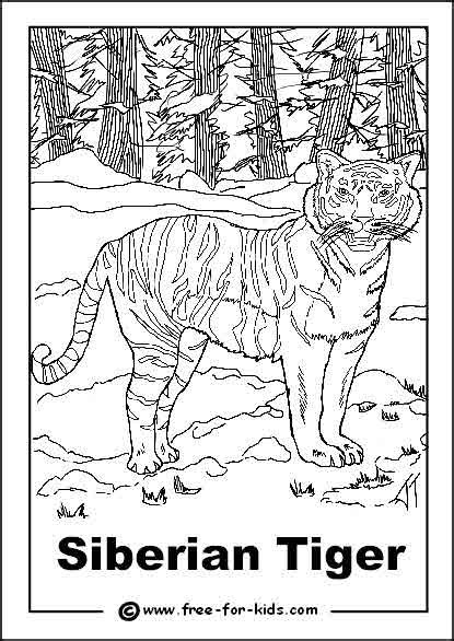 Endangered Animals Colouring Sheets Free For