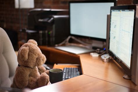 Work Personality Series Are You A Teddy Bear Hfinsight