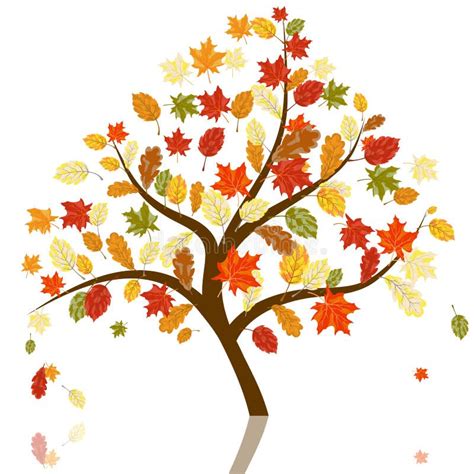 Autumn Maples Stock Vector Illustration Of Elegance 26157909