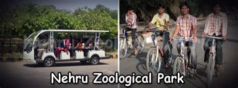 Nehru Zoological Park Hyderabad Address Timings Entry Fee Entry