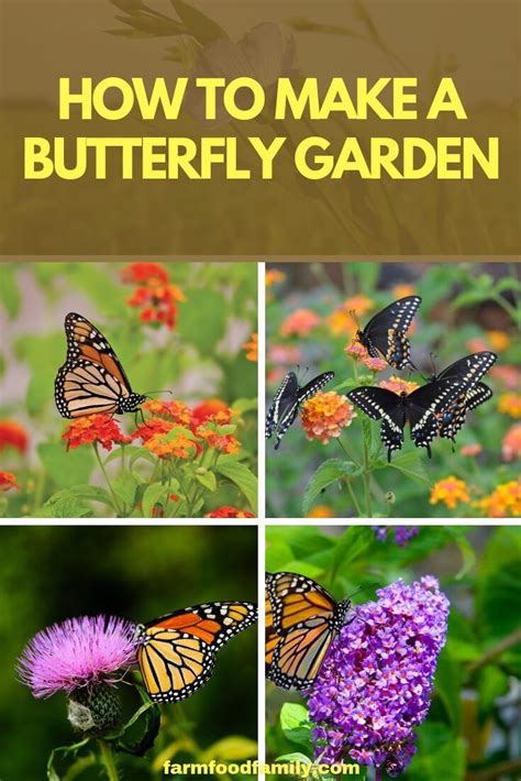 10 Butterfly Garden Ideas Most Elegant And Stunning Butterfly Garden