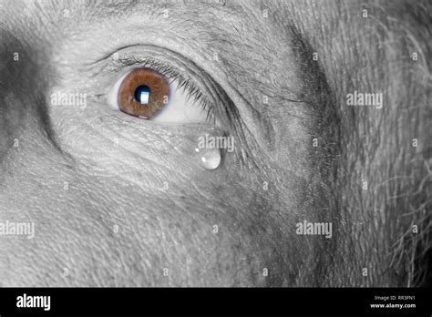 Sad Eyes Adult Hi Res Stock Photography And Images Alamy