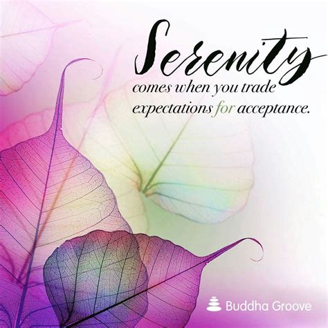 Serenity Comes When You Trade Expectations For Acceptance Buddha