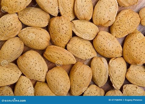 Almonds In Shells As Background Stock Photo Image Of Gourmet Dieting