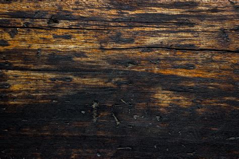 Close Up Of Charred Or Burned Wood Wall For Texture Or Background