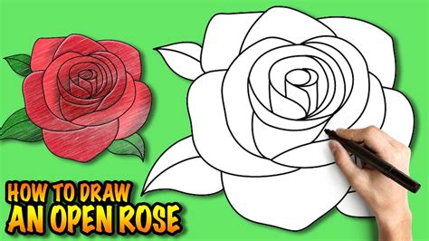 Cute Rose Flower Drawing Easy Images Gallery