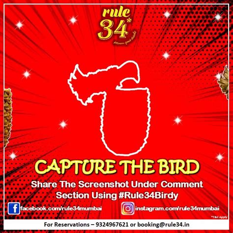 ⚠️ contest alert ⚠️ take our rule 34 birdy contest 🖼️ capture the rule 34 bird