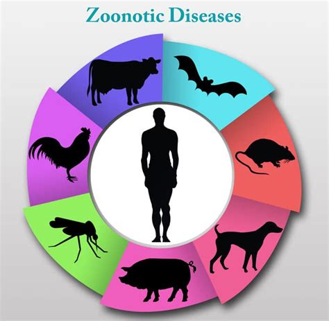 What Are Zoonotic Diseases Healthtian
