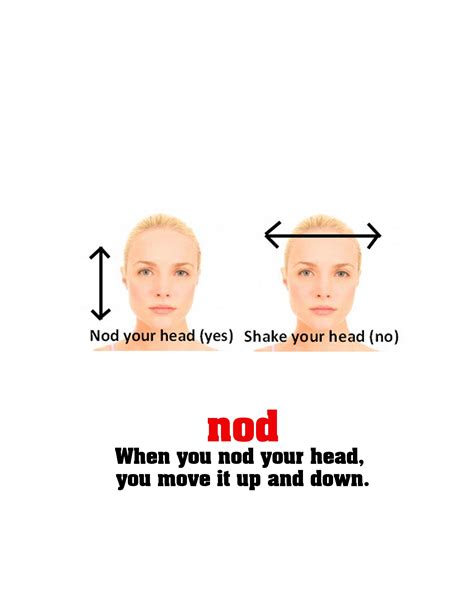 Nod When You Nod Your Head You Move It Up And Down Picture Dictionary